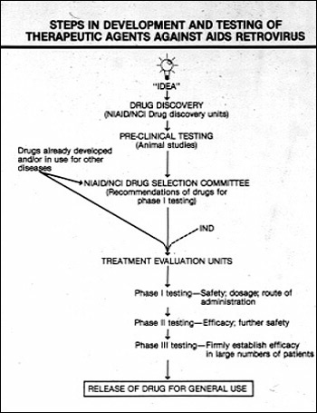 Flowchart of steps in creating therapeutic agents for AIDS