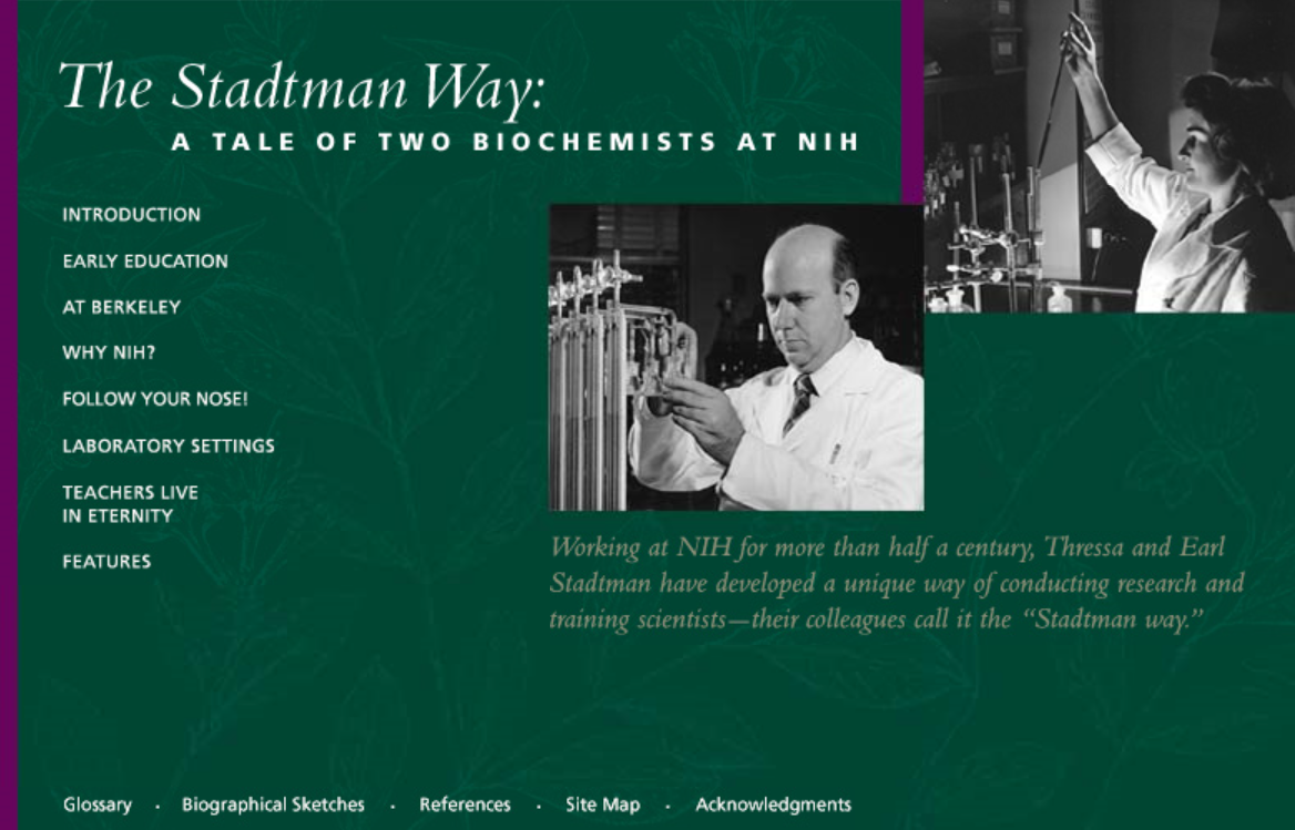 The Stadtman Way Home page graphic used on earlier site.