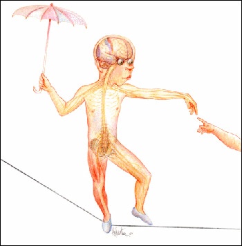 Bartner's drawing of a teenage boy walking a tightrope shows how the body's sensory organs work together with bones and muscle to maintain balance, keeping the boy from falling off the rope.