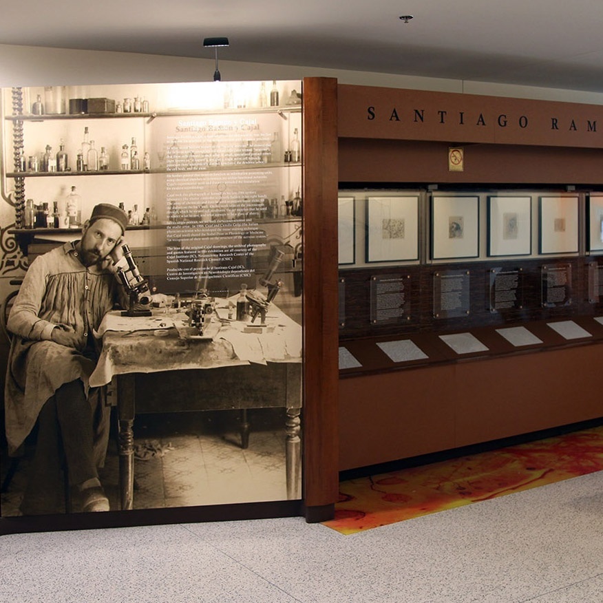 image of the Santiago Ramón y Cajal exhibit