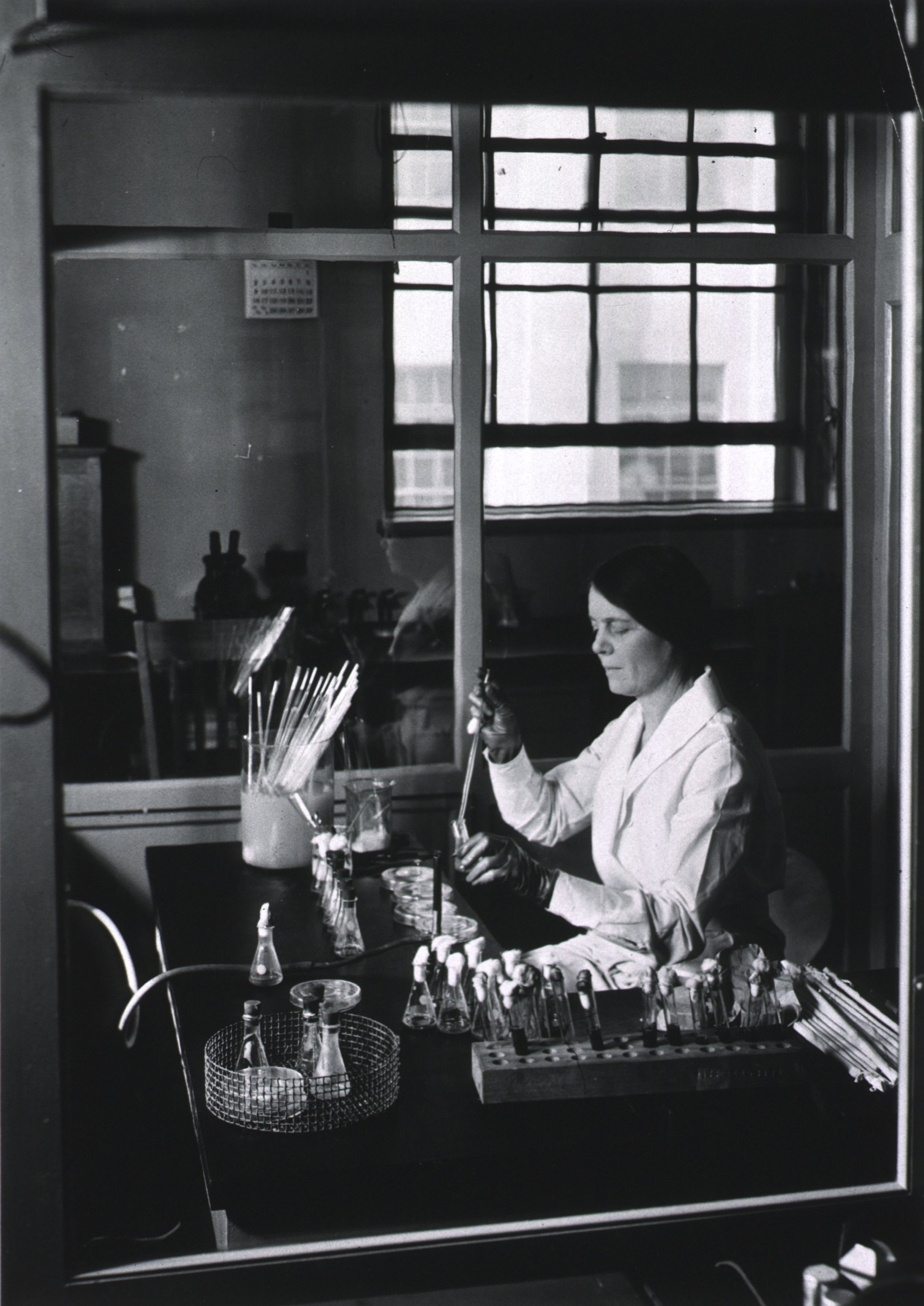 Photo of Dr. Bengston in her laboratory