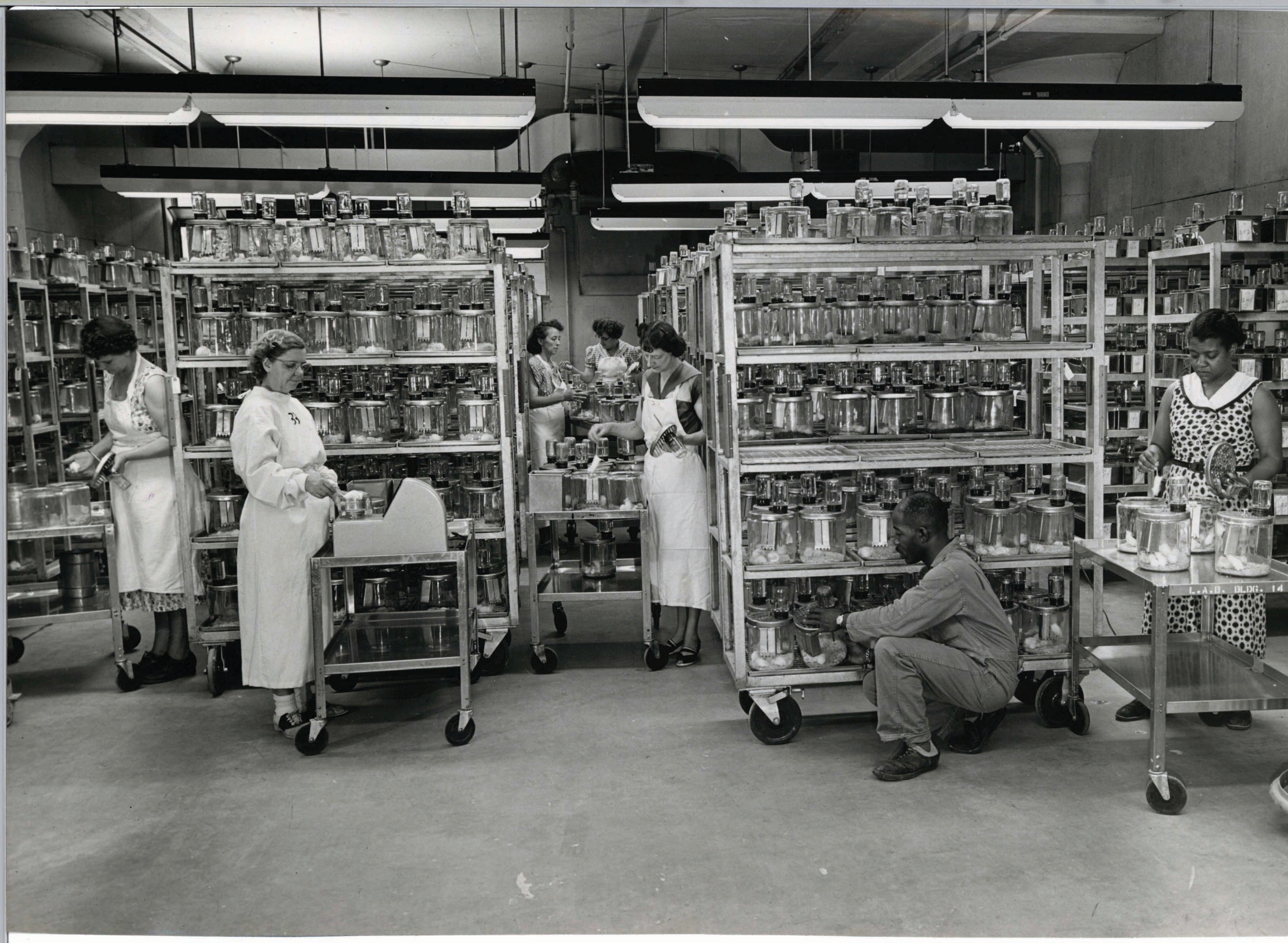 A laboratory in the fifties with lab workers and racks of mice in the background