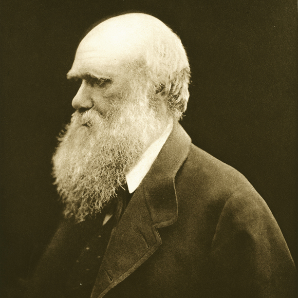 photo of Charles Darwin