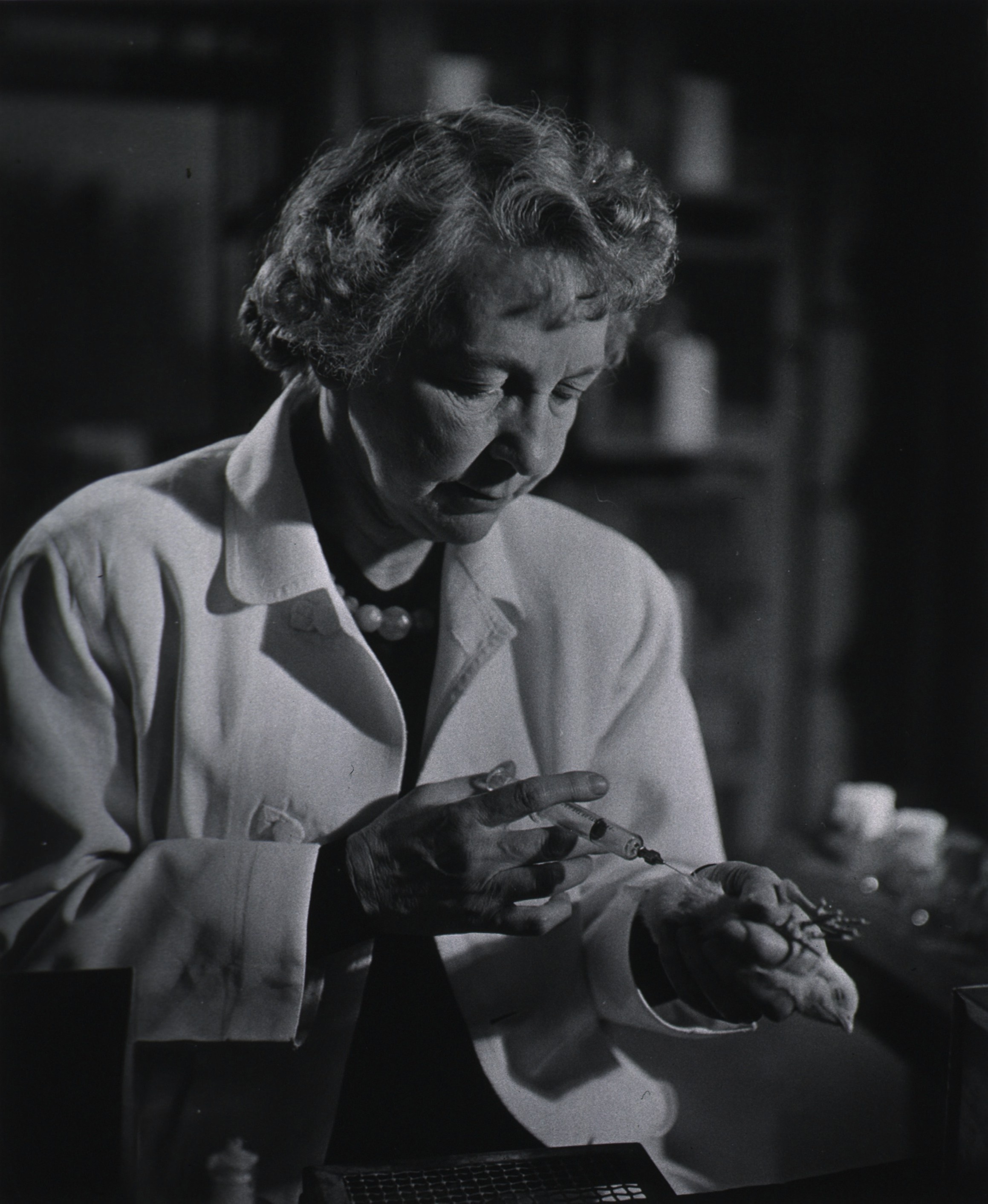 Photo of Dr. Branham injecting a chick