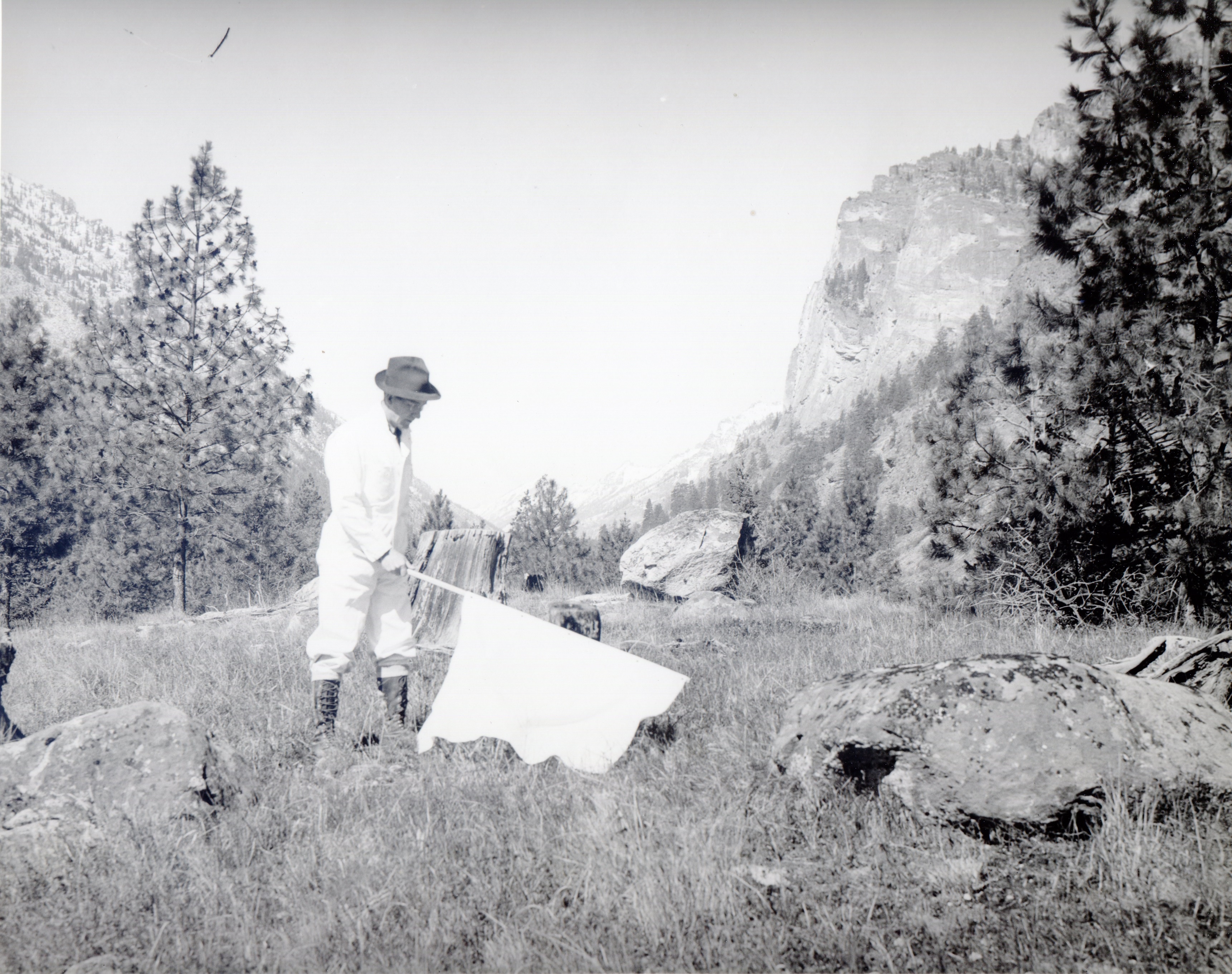Man dressed in white with pants tucked in boots waves large white flag over meadow grass in high mountains.