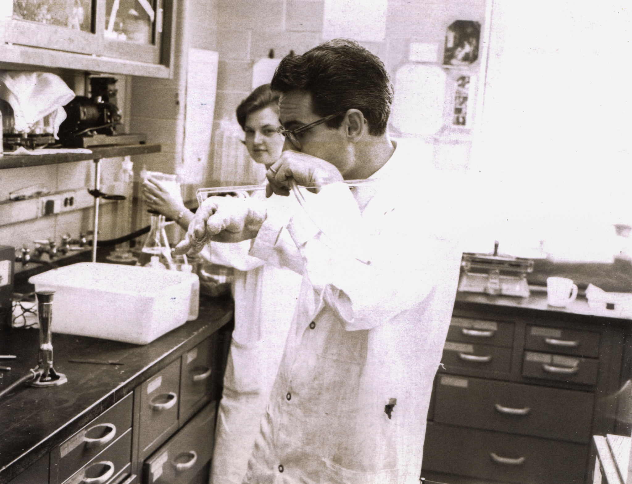 Dr. Finlayson and lab technician Mary Ann Dalton Repass in 1966 in Building 29
