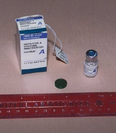 A vial of Hepatitis A vaccine and box are photographed next to a ruler for scale