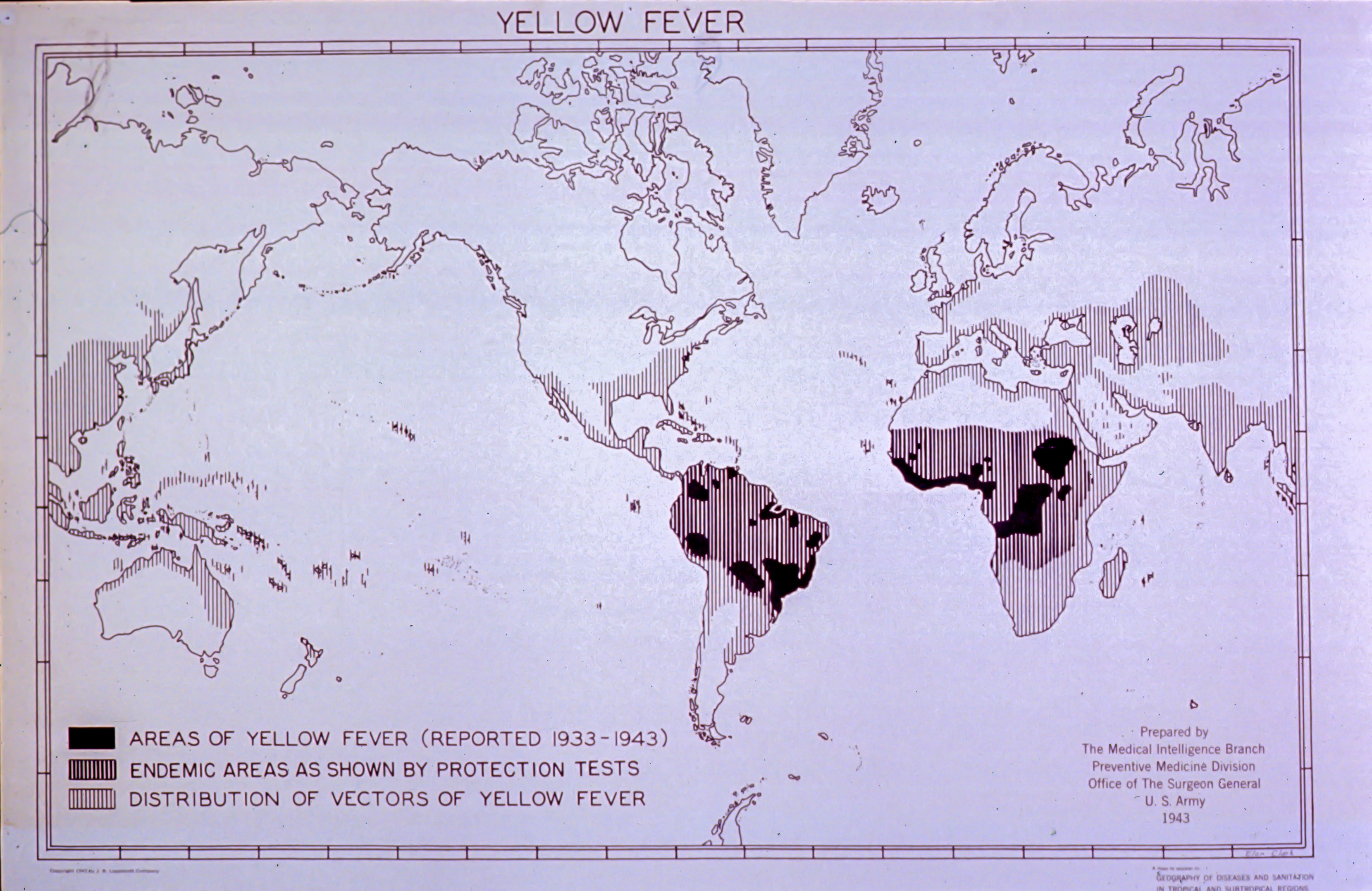 Old map showing areas of yellow fever from 1933-1943, endemic areas as shown by protection tests, and distribution of vectors of yellow fever