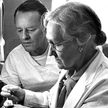 Image of Dr. Pittman handling a mouse while a man in the background assists