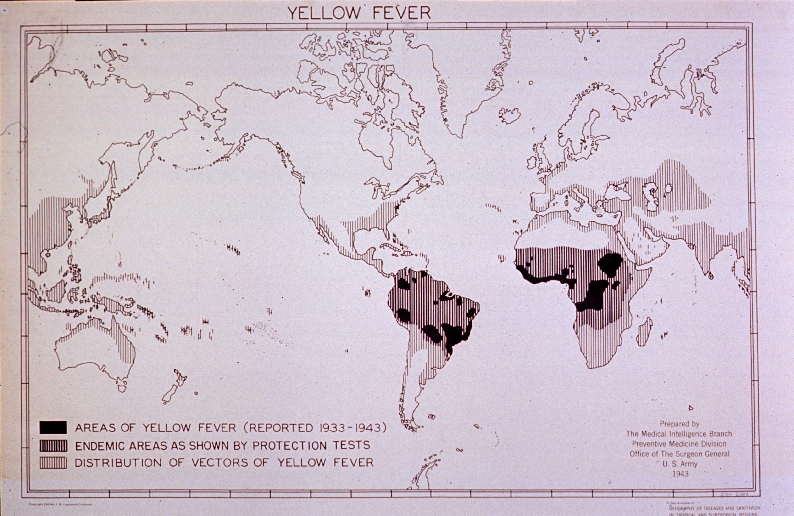 Old map showing areas of yellow fever from 1933-1943, endemic areas as shown by protection tests, and distribution of vectors of yellow fever