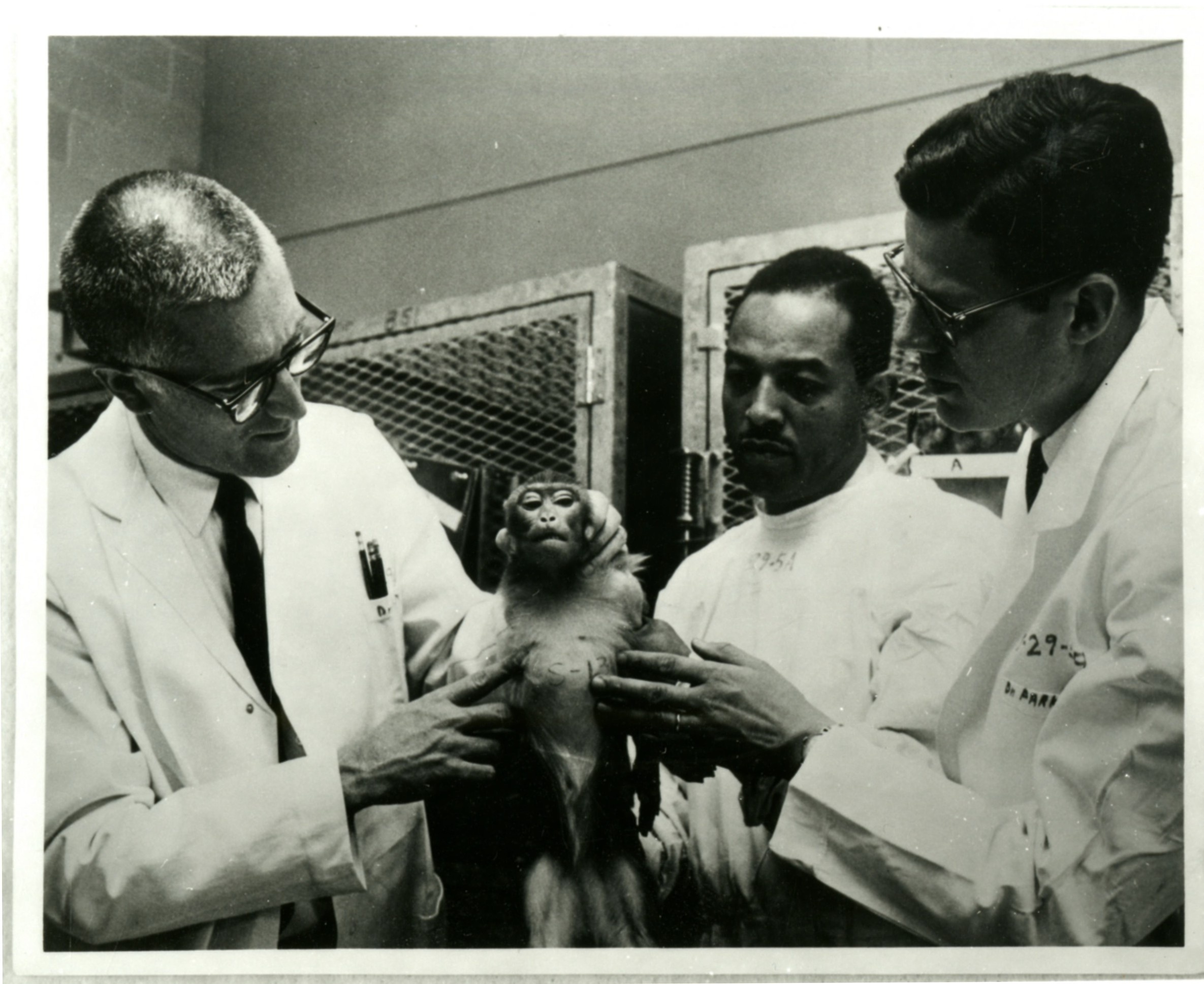Three people in lab coats examine a monkey
