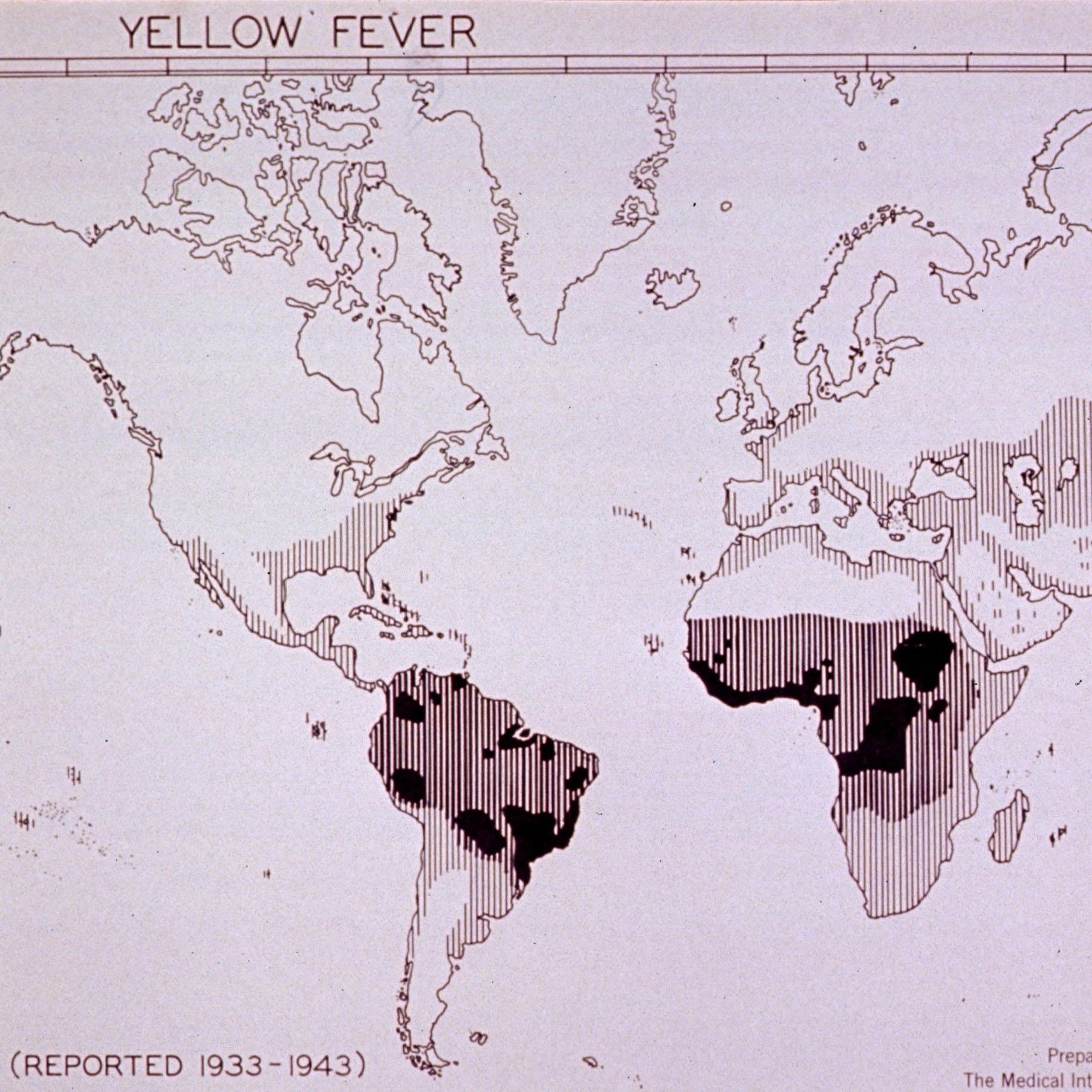 Map depicting locations of Yellow Fever, Mainly in the southern hemisphere, concentrated in Africa and South America