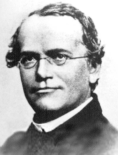 Photograph of Gregor Mendel.