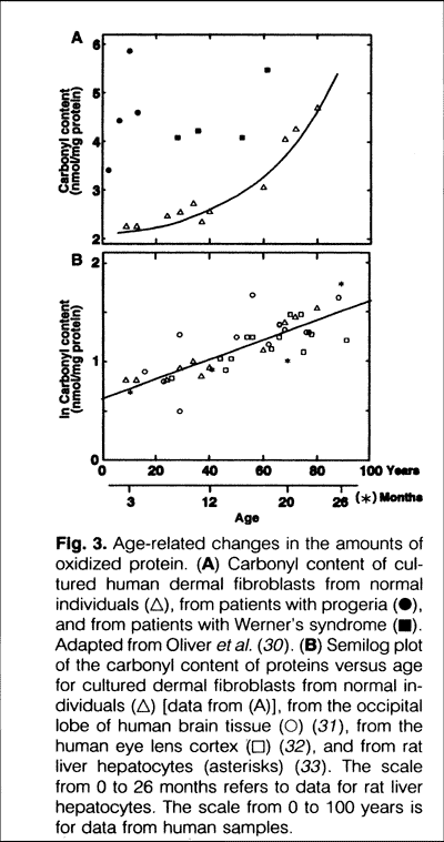 Age-related changes in the amounts of oxidized protein.