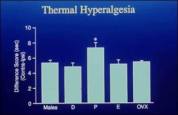 This graph depicts Thermal Hyperalgesia