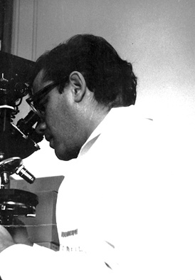 Photo of Martin Rodbell peering into a microscope