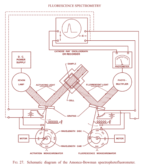 Diagram of the AMINCO-Bowman SPF