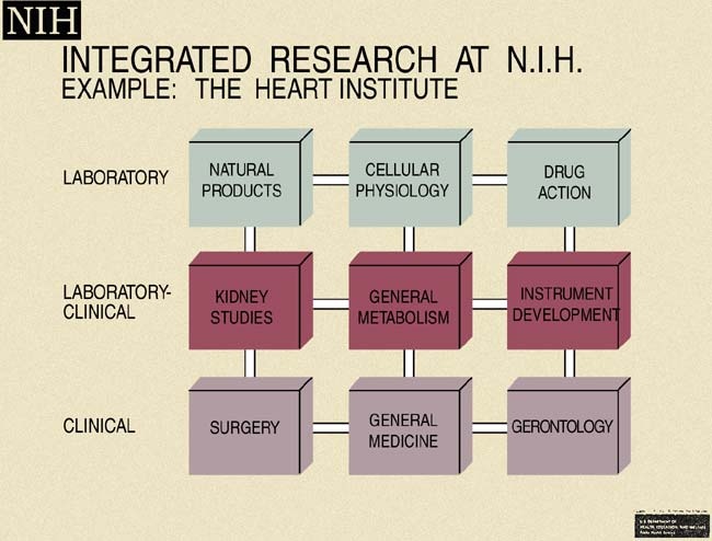 Chart from NIH Databook