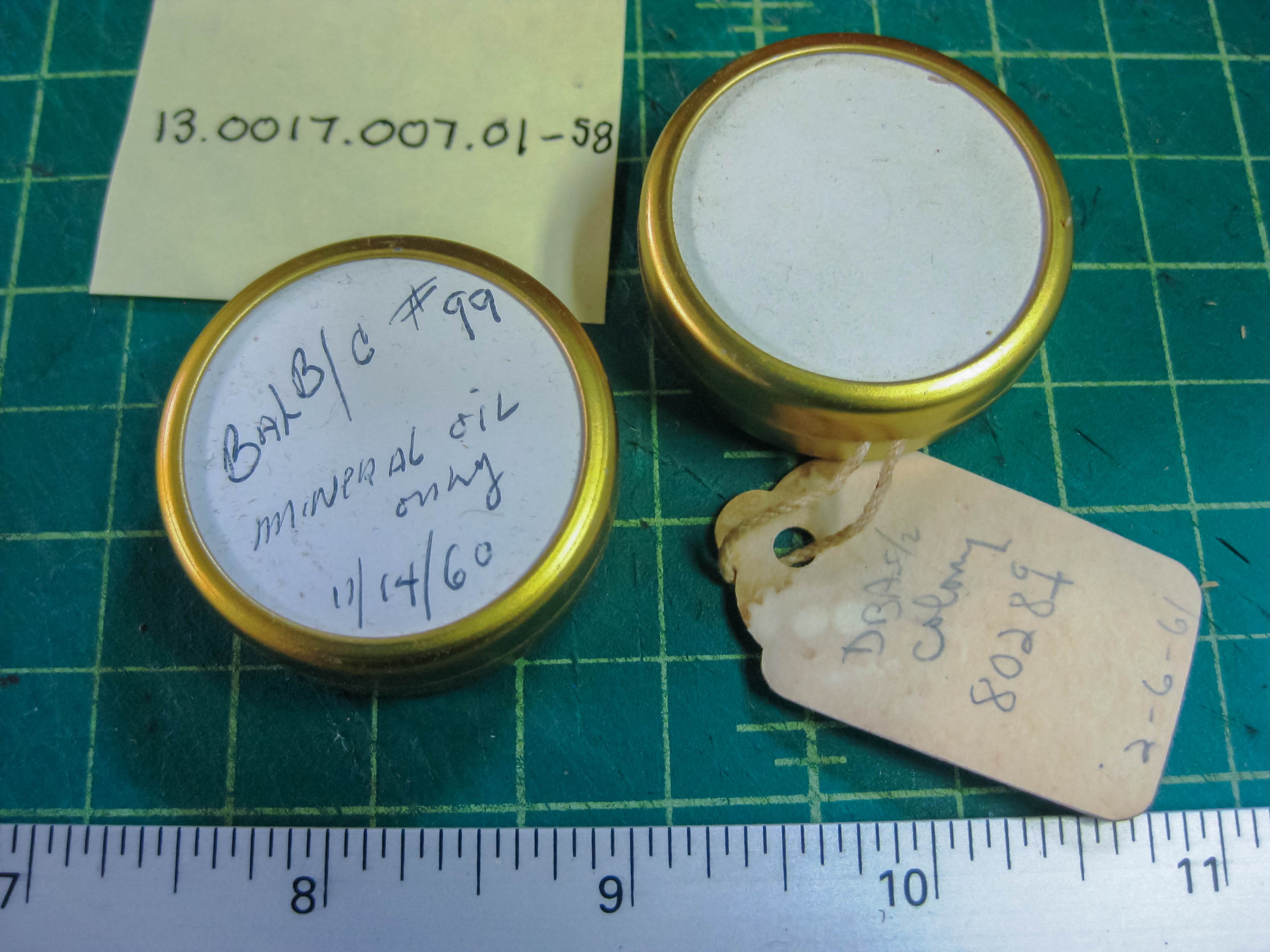Close up of 2 small containers of mouse bones colony 80289 and another with mineral oil only