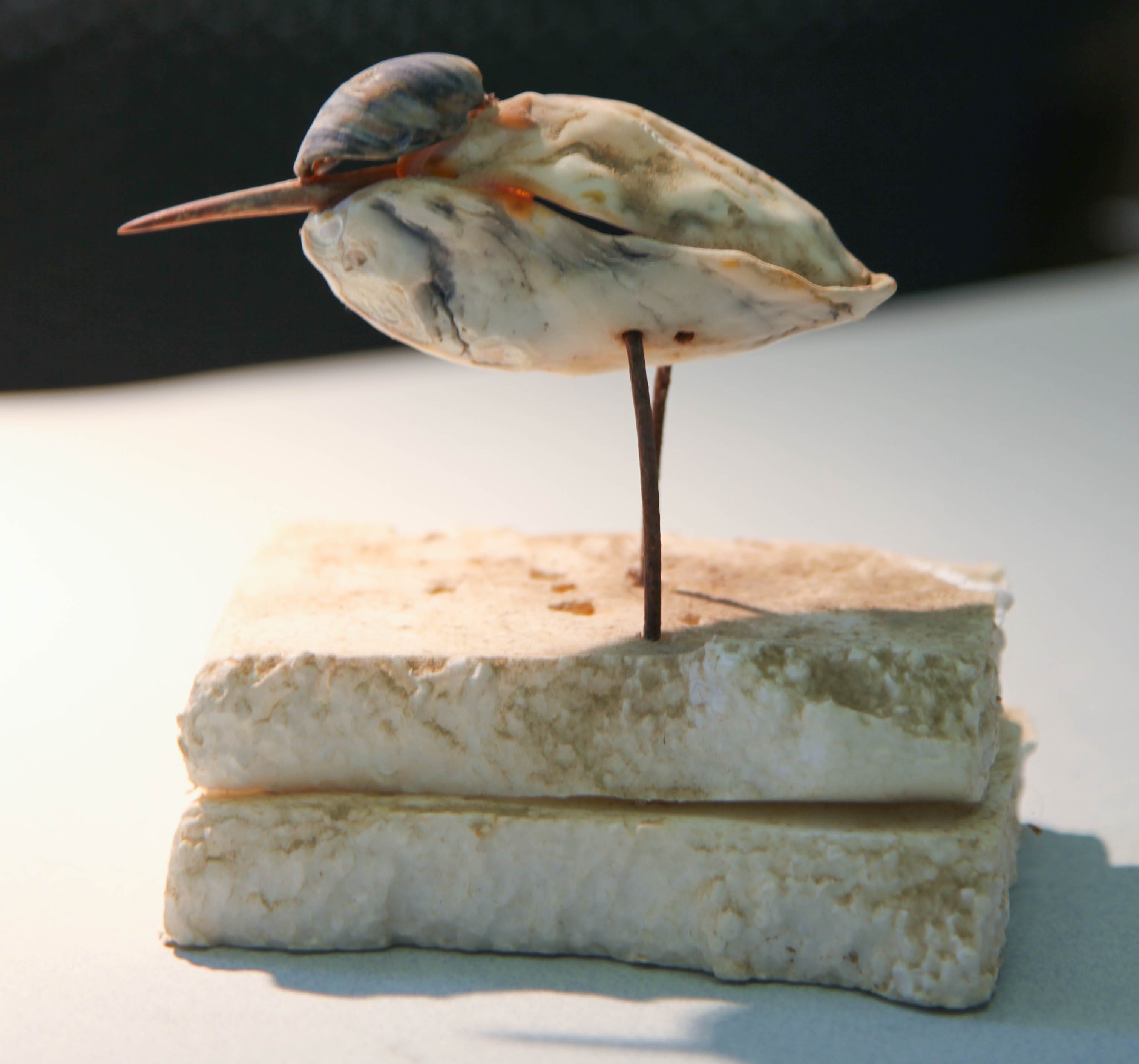 left side of a bird sculpture modeled out of shells