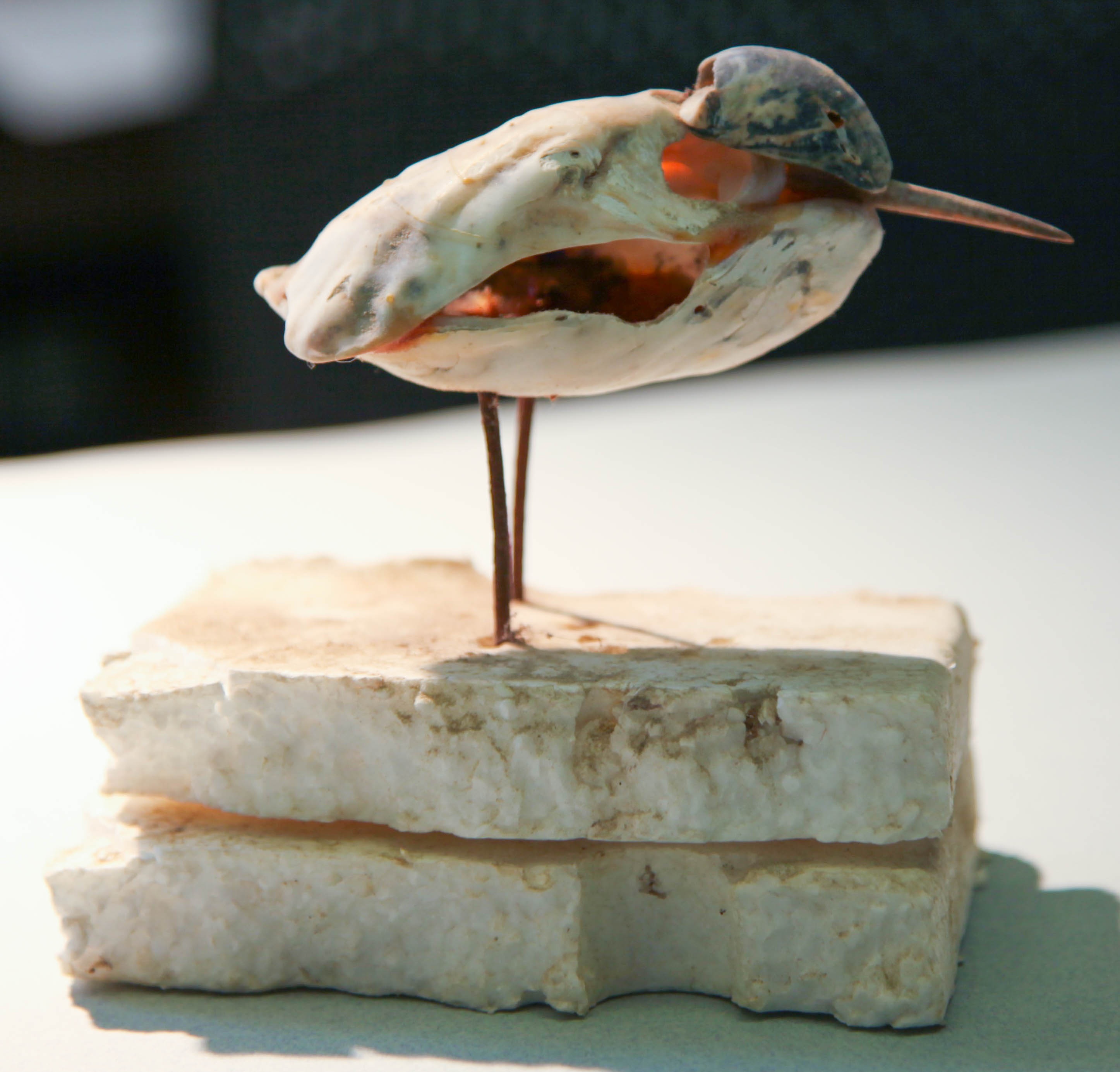 right side of a bird sculpture modeled out of shells