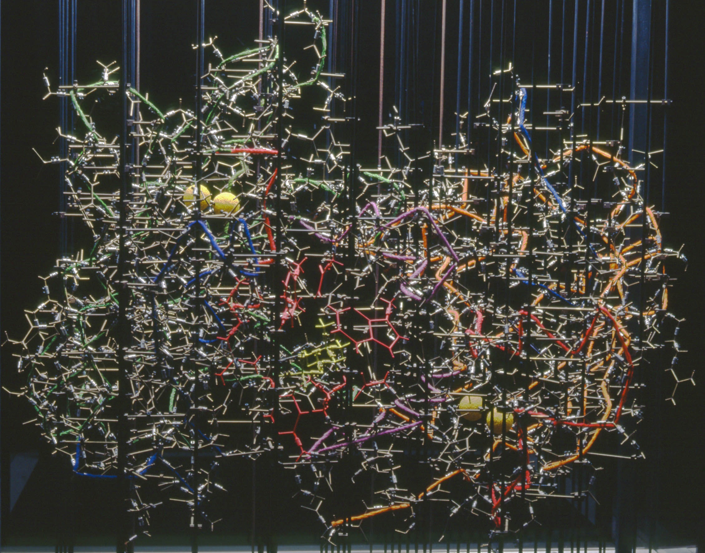 large model representation of a staphyloccal nuclease molecular sculpture made from wire in glass case