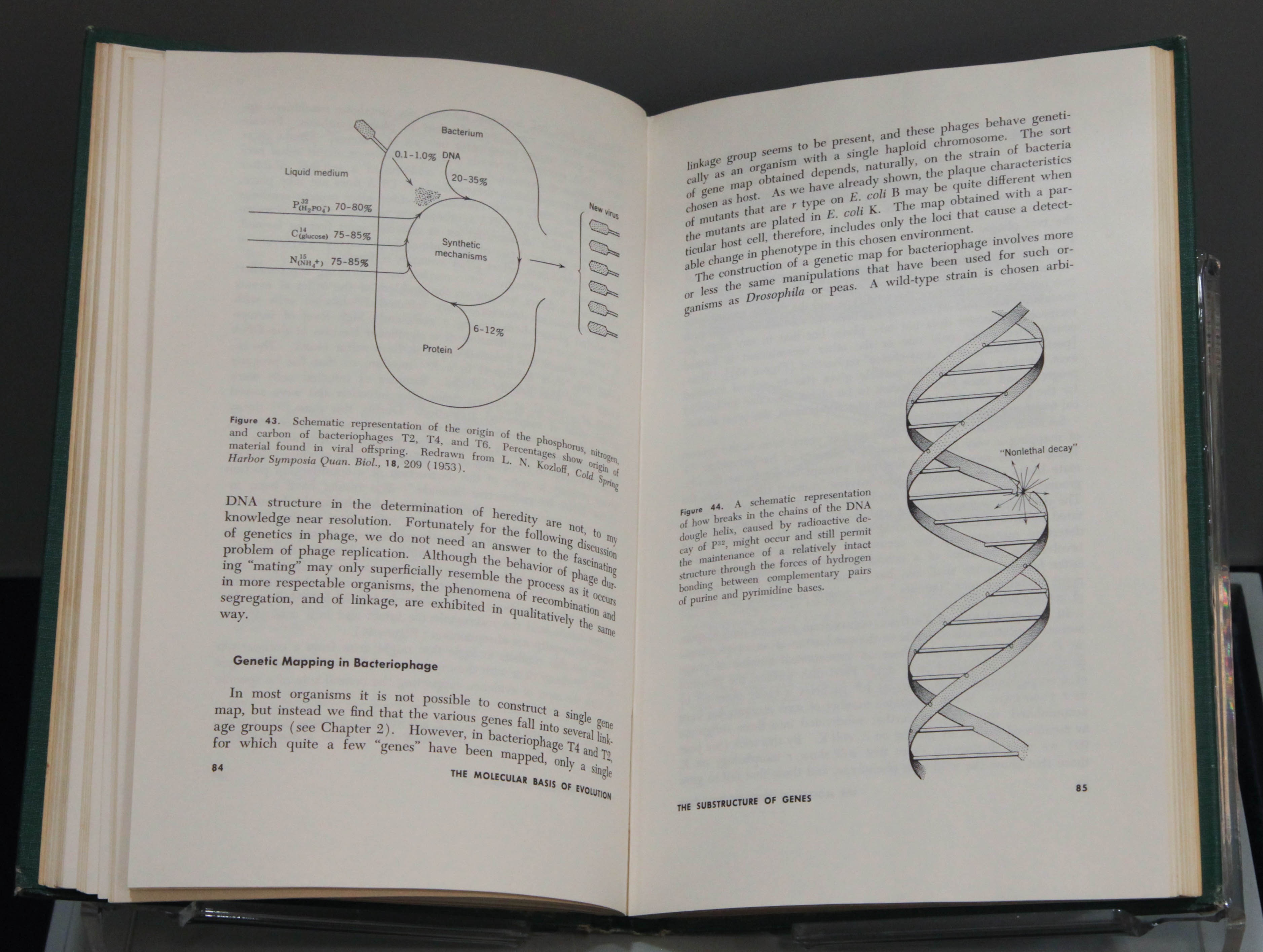 image of open book with DNA image