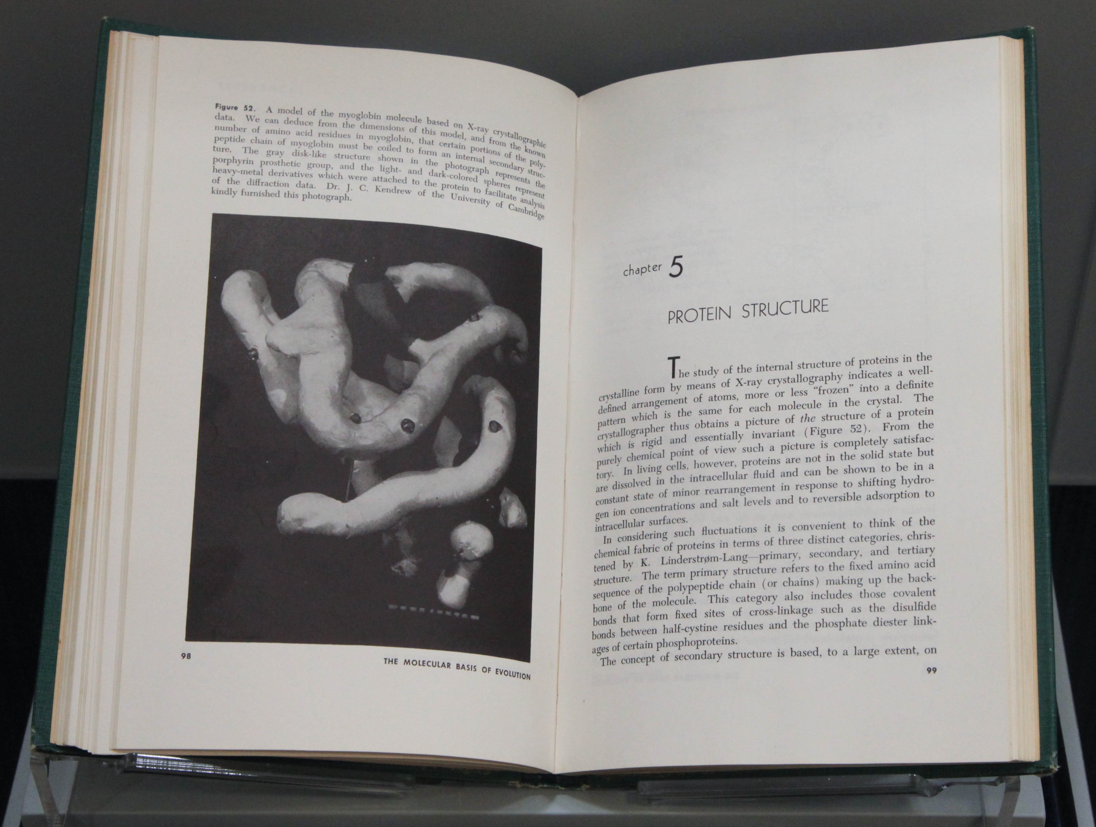 image of open book with molecular sculpture image