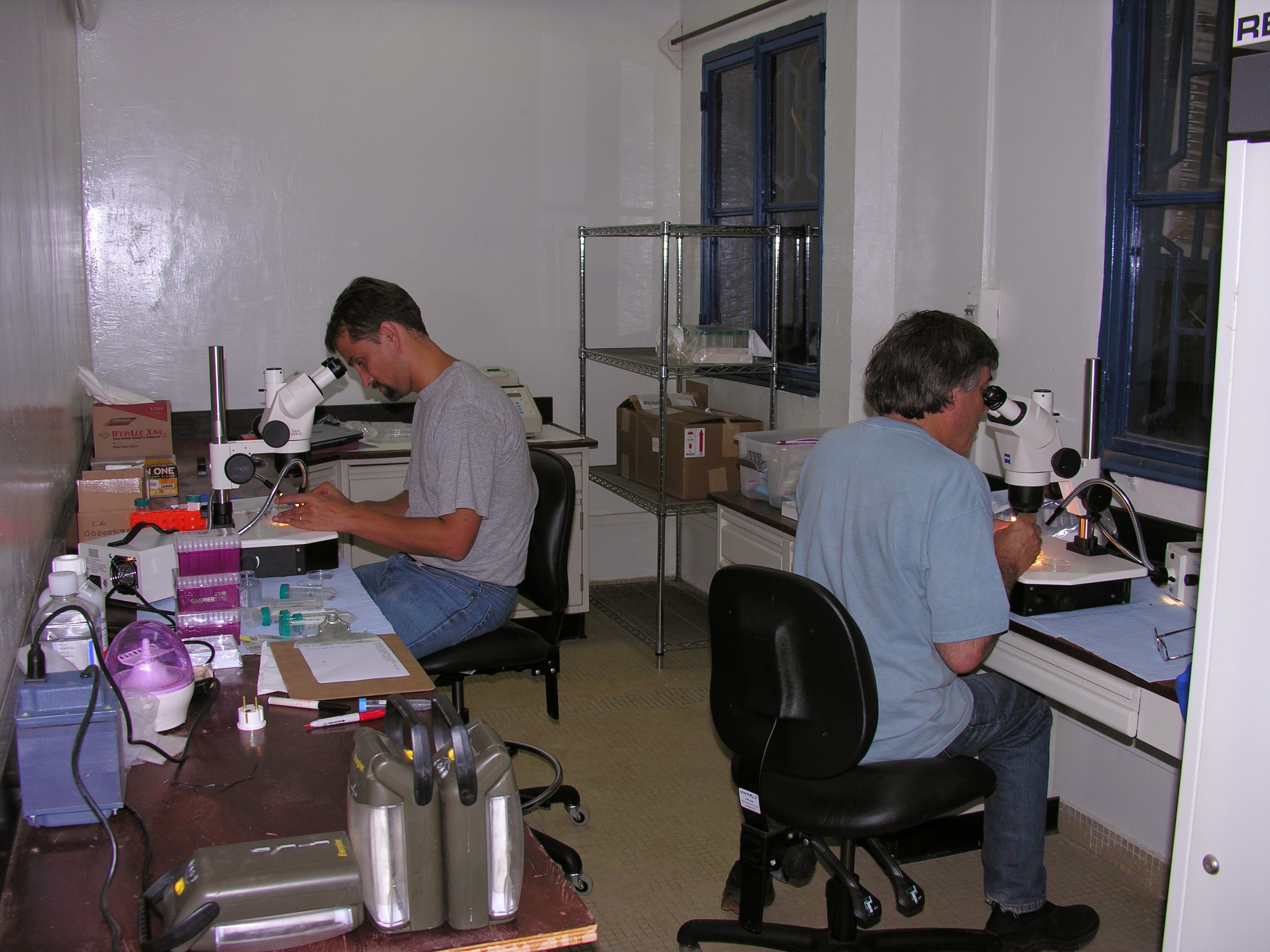 Two men using microscopes in a lab