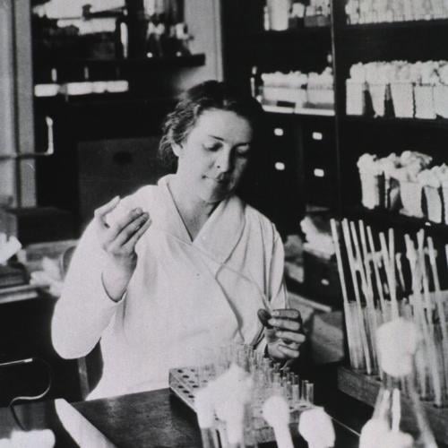 Evans, Alice Catherine is in the lab
